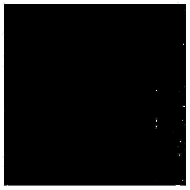 Method for measuring oil-water distribution by using DP-MRI