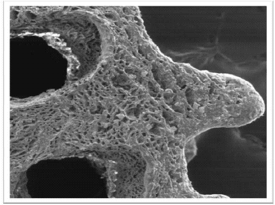 Tissue- engineered cartilage graftimplant and preparation method thereof