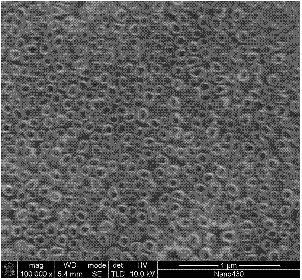 Manufacture method for chlorine-evolution dimensionally stable anode (DSA) electro-catalytic electrode with three dimensional structure