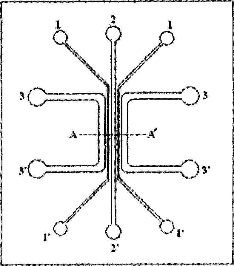 Construction method of blood capillary model and microsystem chip thereof