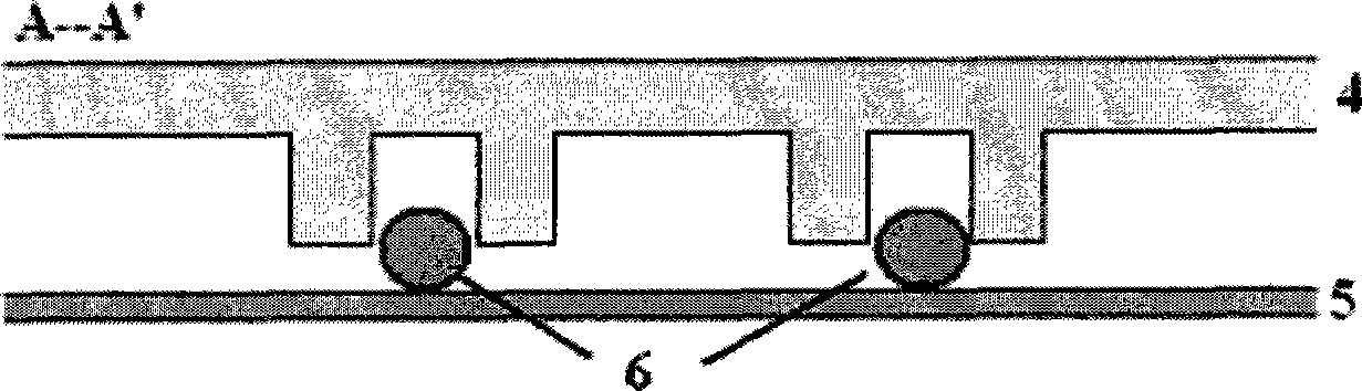 Construction method of blood capillary model and microsystem chip thereof