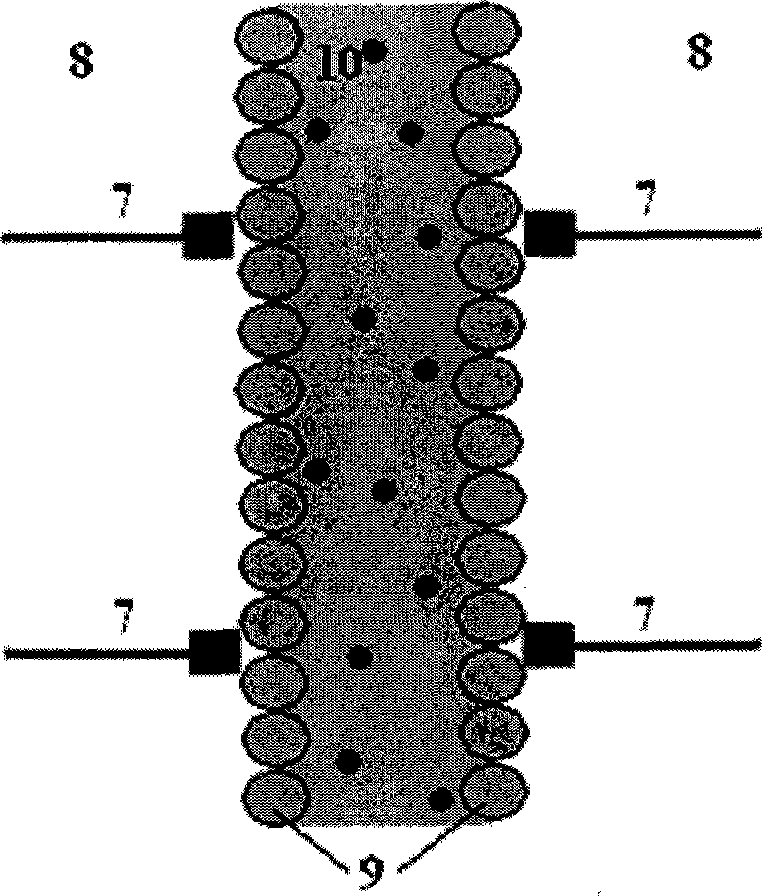 Construction method of blood capillary model and microsystem chip thereof