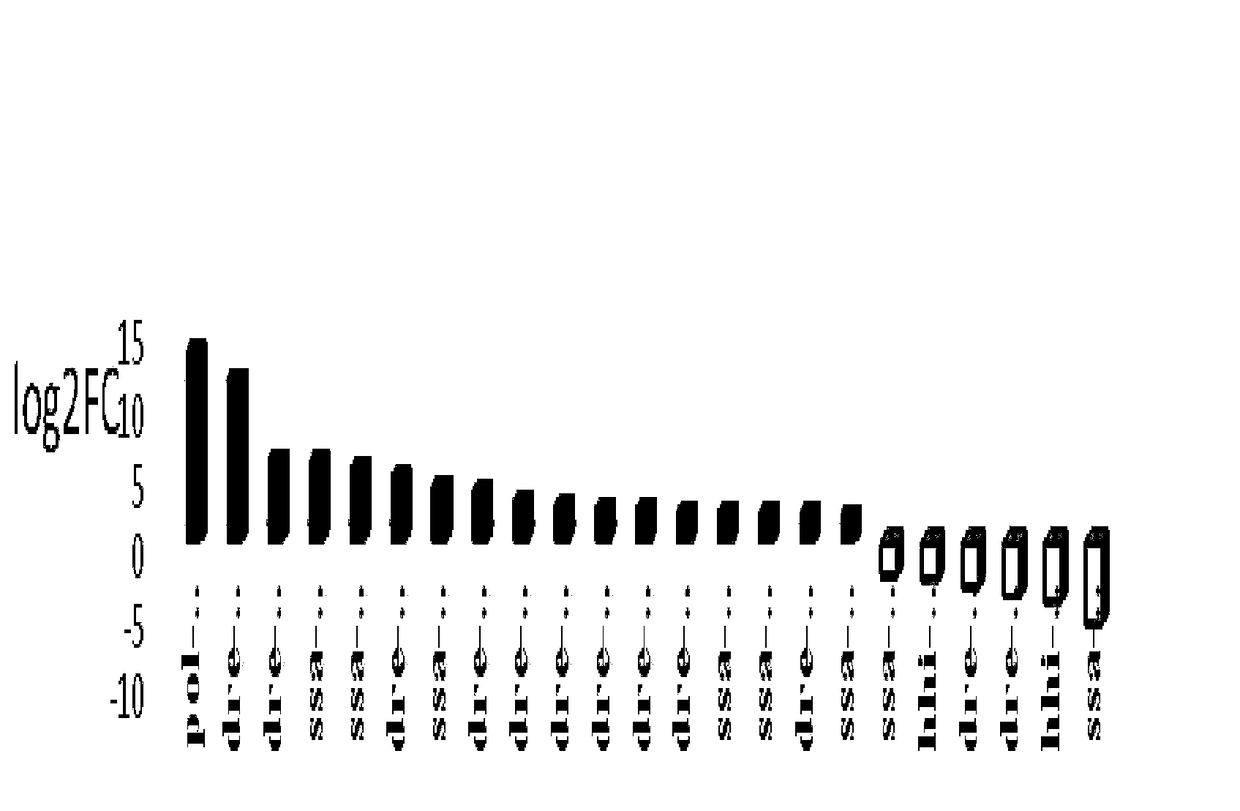 Application of cynoglossus semilaevis gender difference indication label