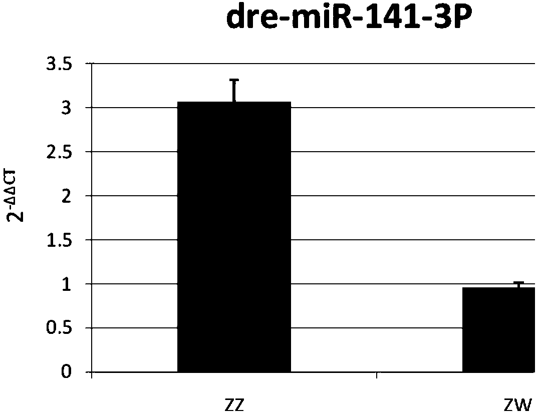 Application of cynoglossus semilaevis gender difference indication label