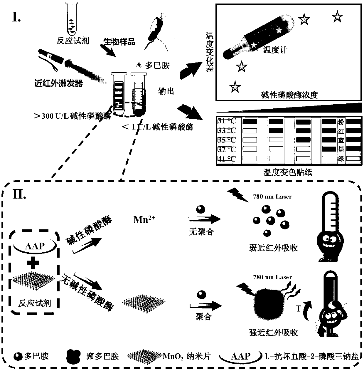 Portable alkaline phosphatase detection kit based on temperature change and application thereof