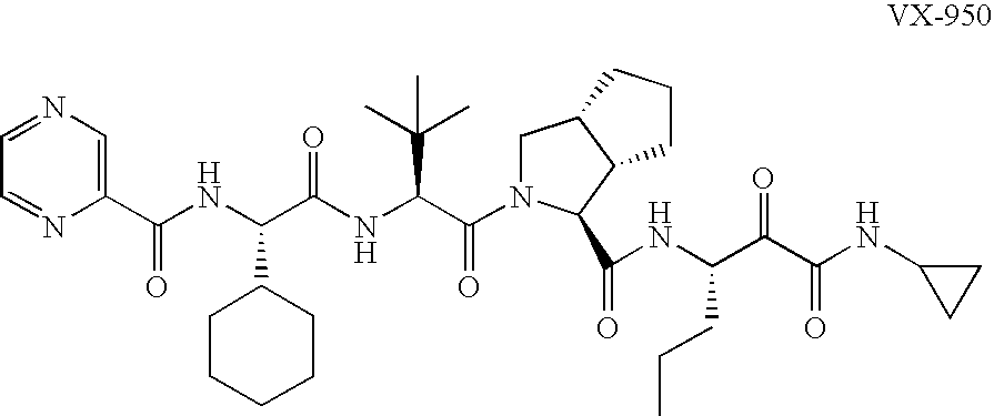 Animal model for HCV infection