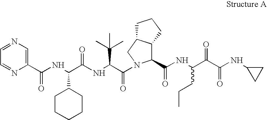 Animal model for HCV infection