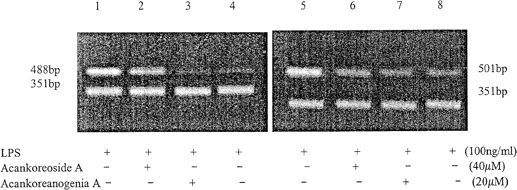 Usage of eleutheroside with anti-inflammatory action or aglycone thereof