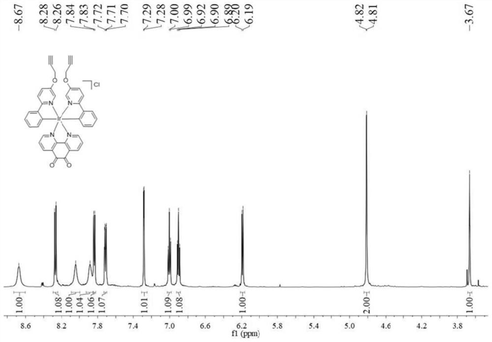 Metal polymer, metal polymer nano-micelle as well as preparation method and application of metal polymer nano-micelle