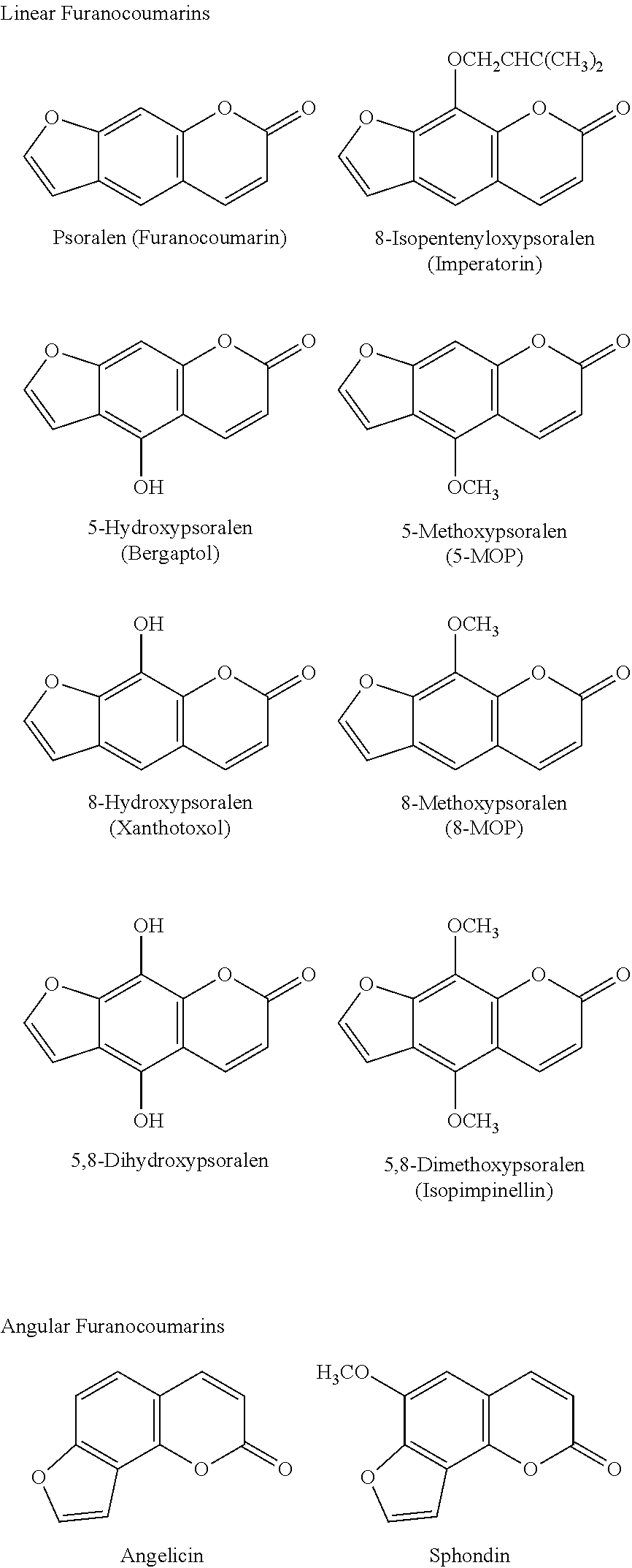 Isothiocyanate functional surfactant and associated method of use