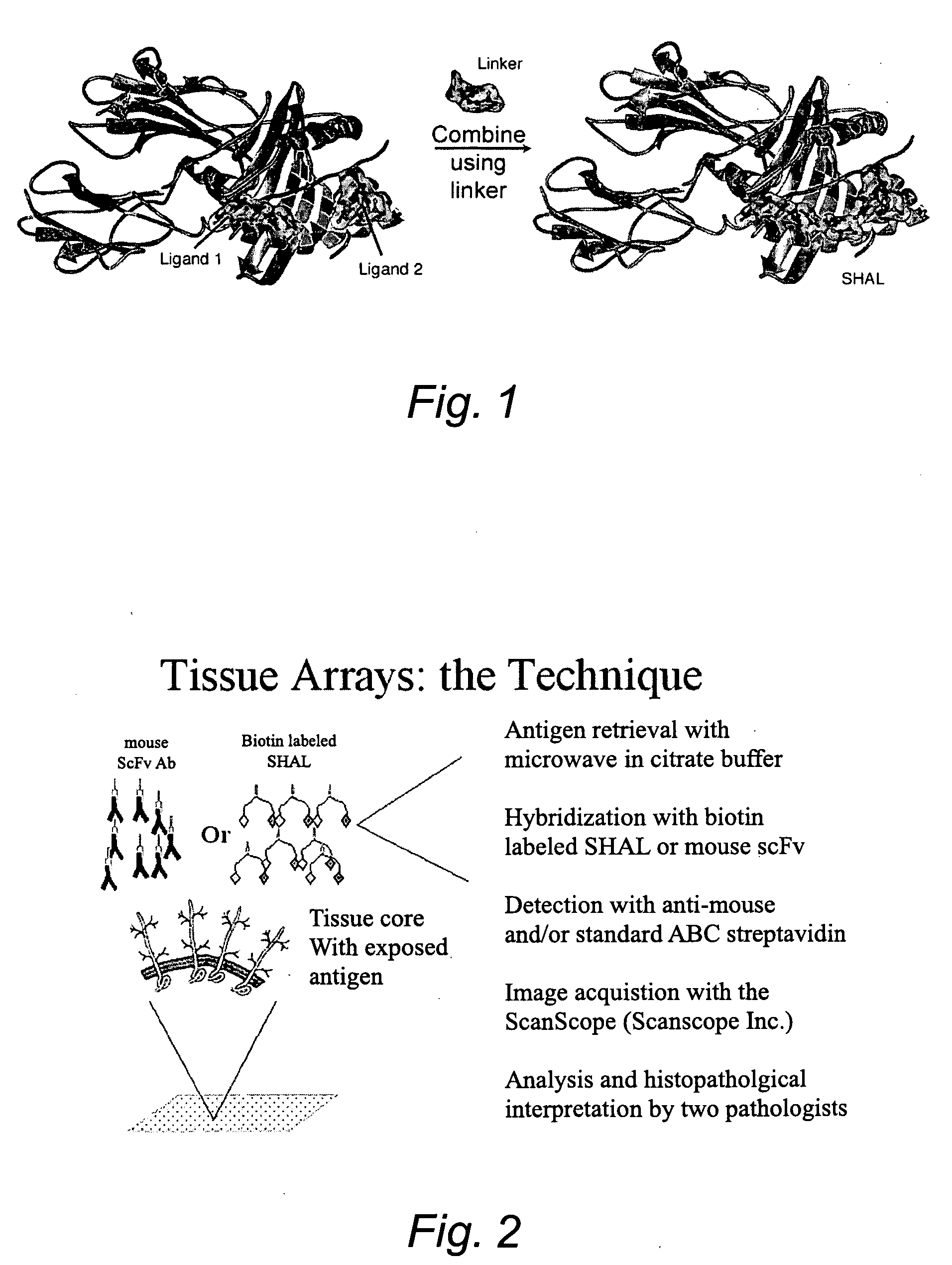 Selective high affinity polydentate ligands and methods of making such