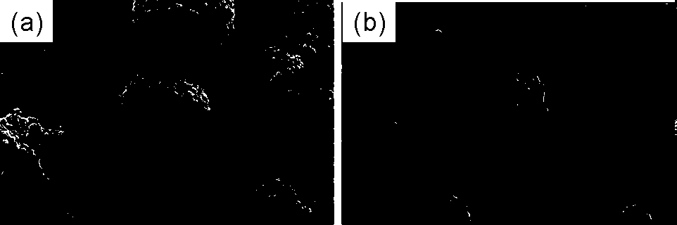 A kind of preparation method of alumina-coated lithium-ion battery cathode material