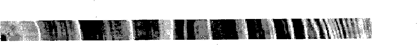 Method for analyzing micro-density image of tree annual ring