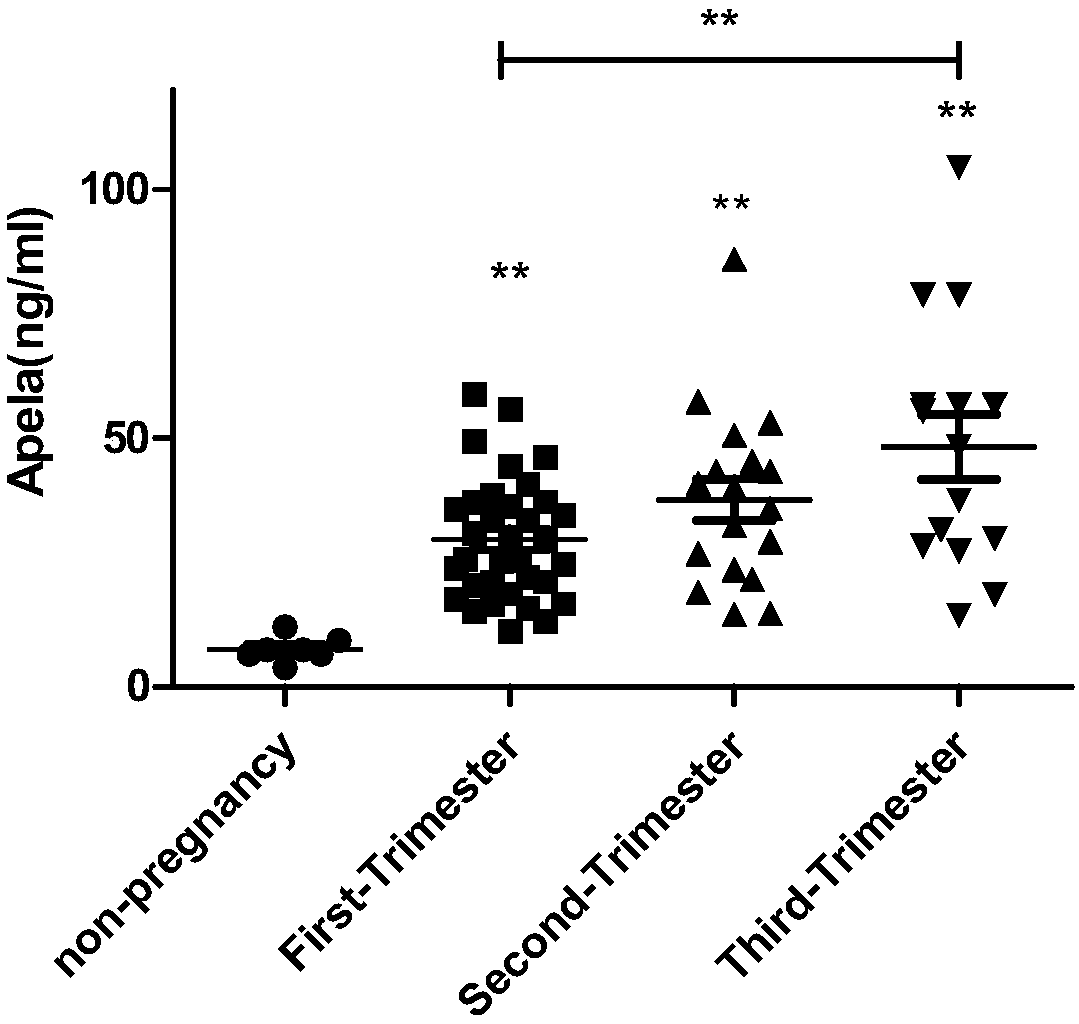 Test paper and kit for quickly screening late onset severepre-eclampsia