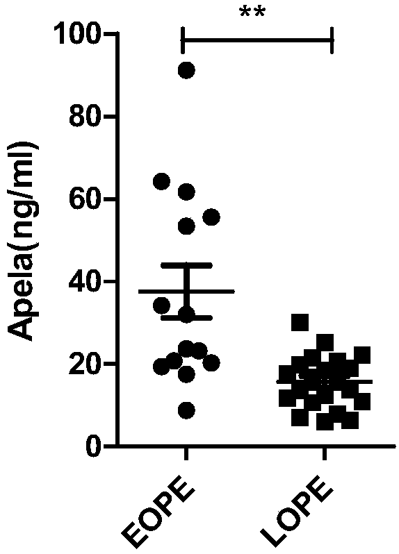 Test paper and kit for quickly screening late onset severepre-eclampsia