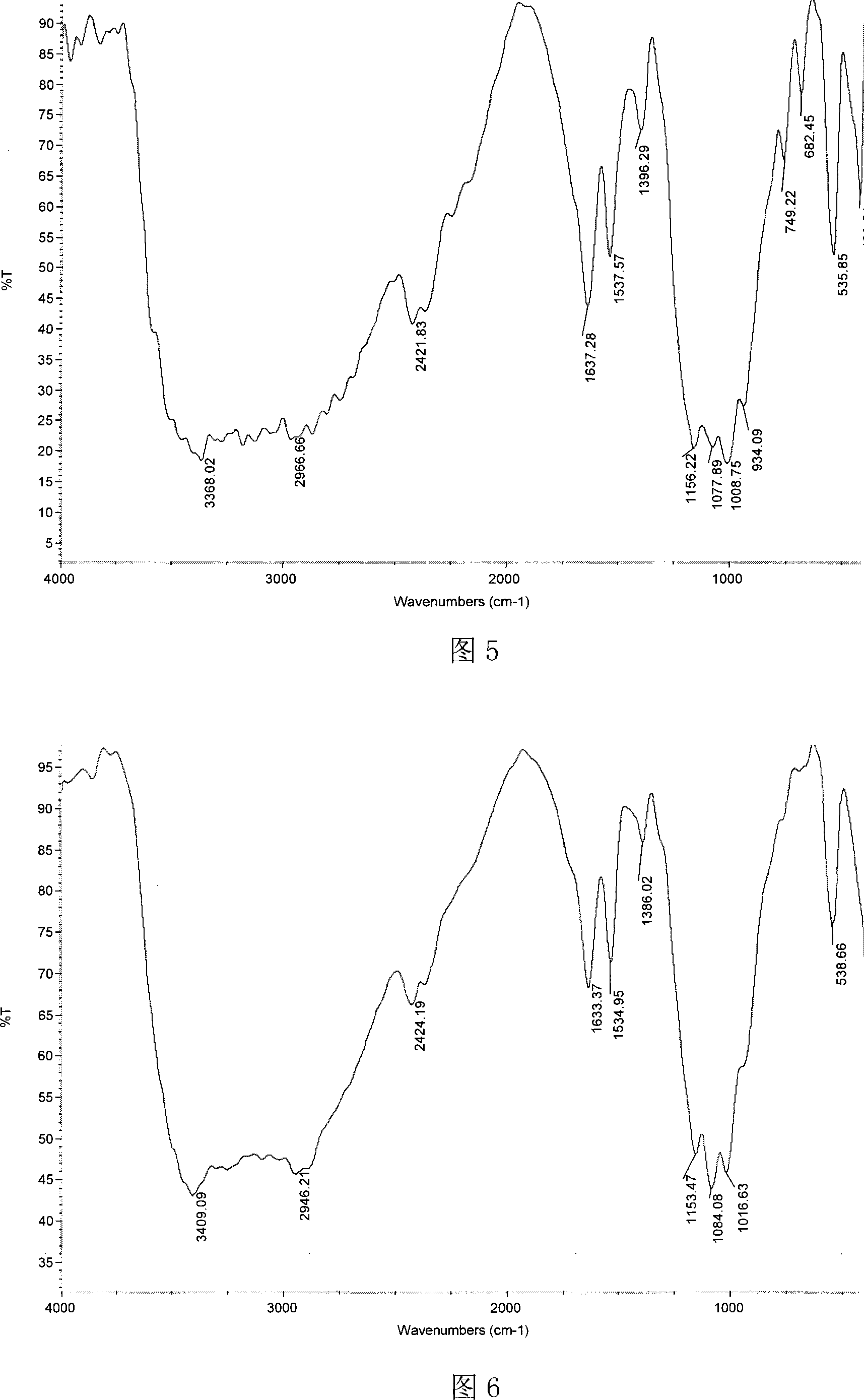 Chitosan alpha-aminoalkyl phosphonate ester derivative and preparation method thereof