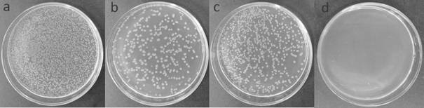 Preparation method of polylactic acid material with anti-adhesion and sterilization functions