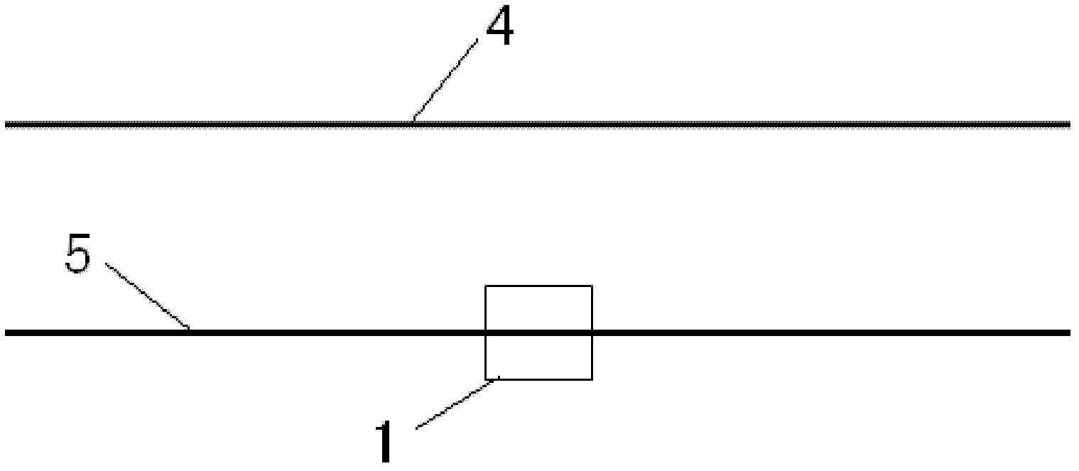 A corona test method for the effect of direct current transmission lines on adjacent trees