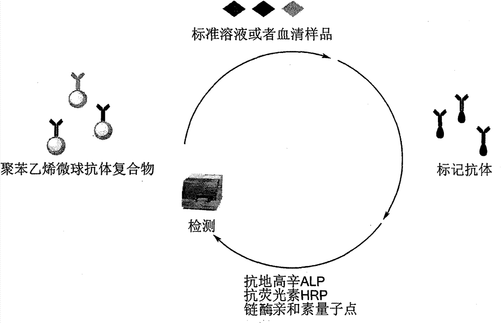 Homogeneous phase multi-index fluorescence/chemiluminescence measuring method and application thereof