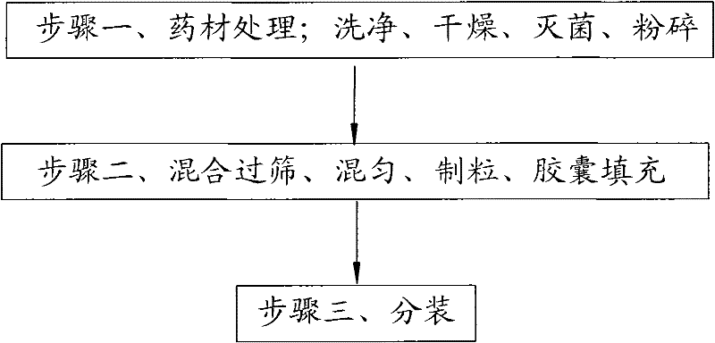 Chinese patent medicine for treating chronic gastritis and gastroduodenal ulcer and preparation method thereof