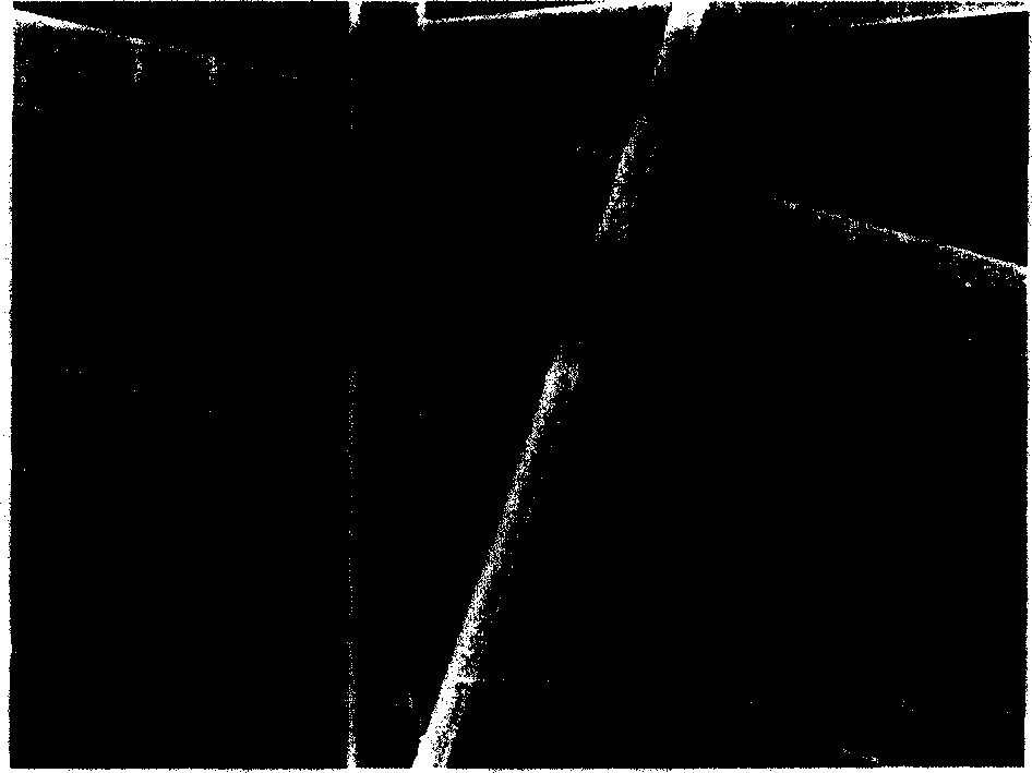 Method for manufacturing superfine fiber using flyash as raw material