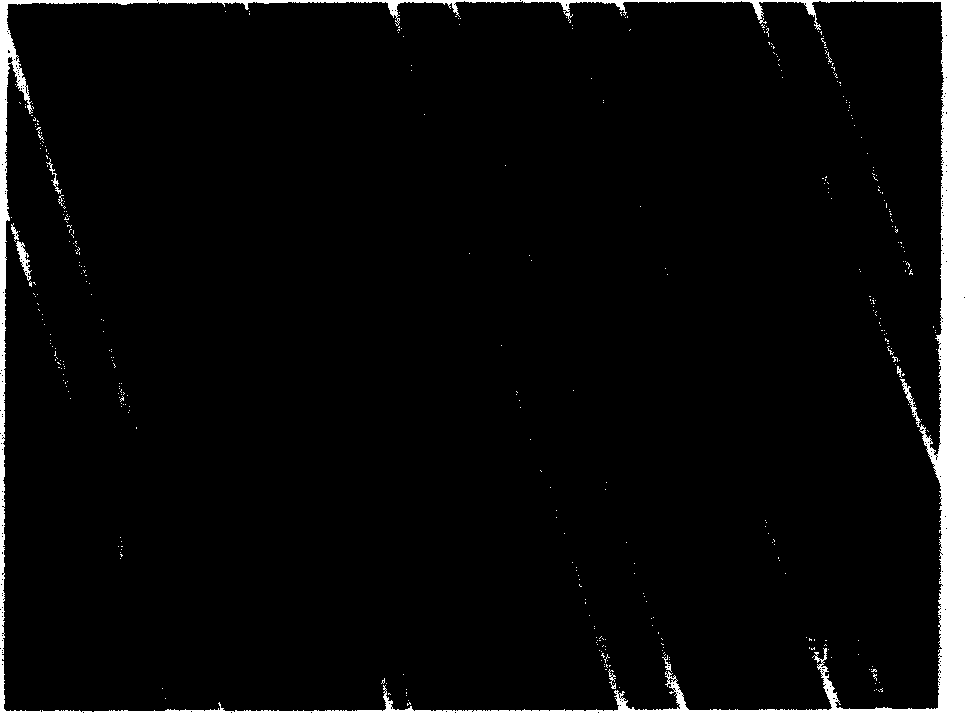 Method for manufacturing superfine fiber using flyash as raw material