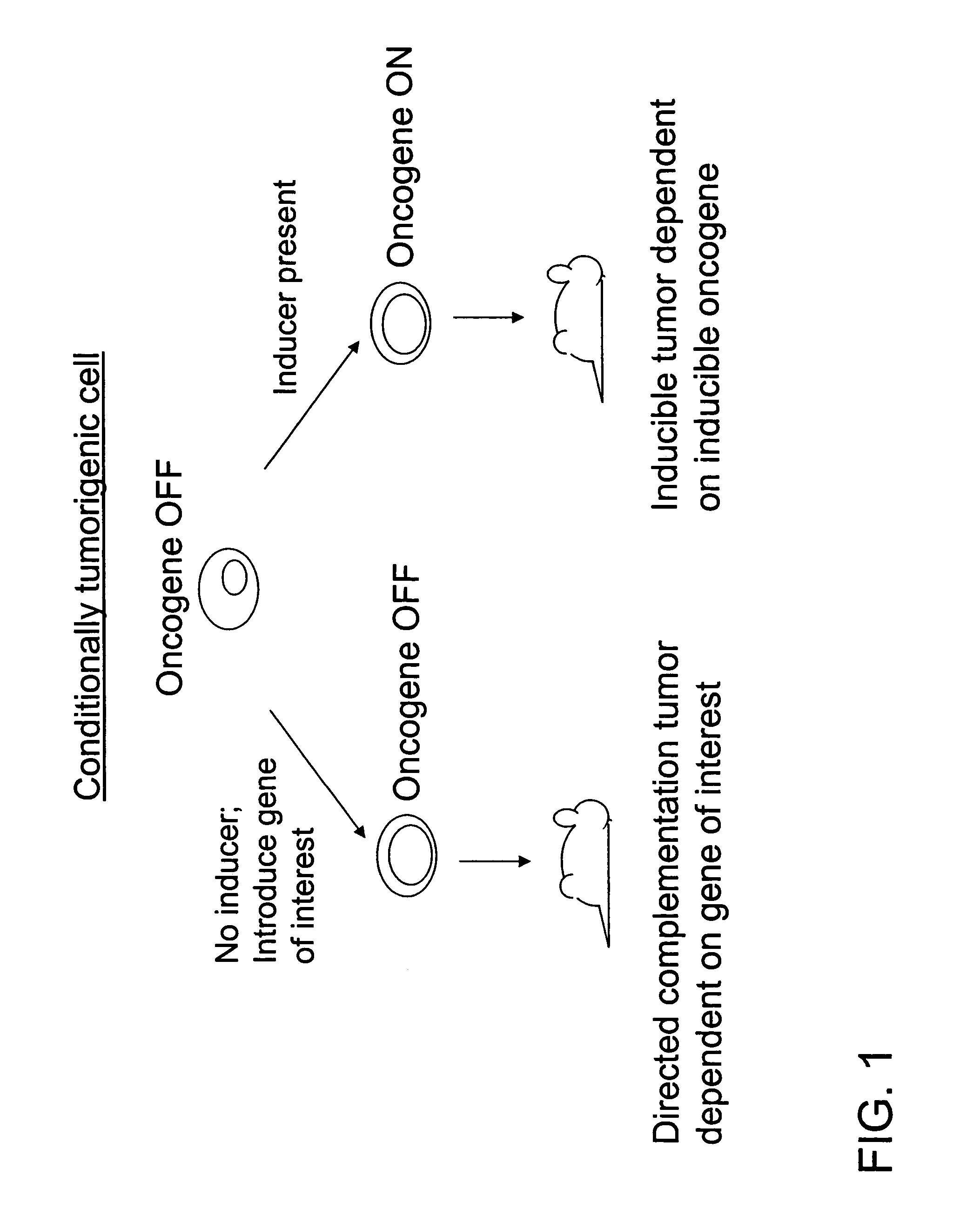 Directed complementation