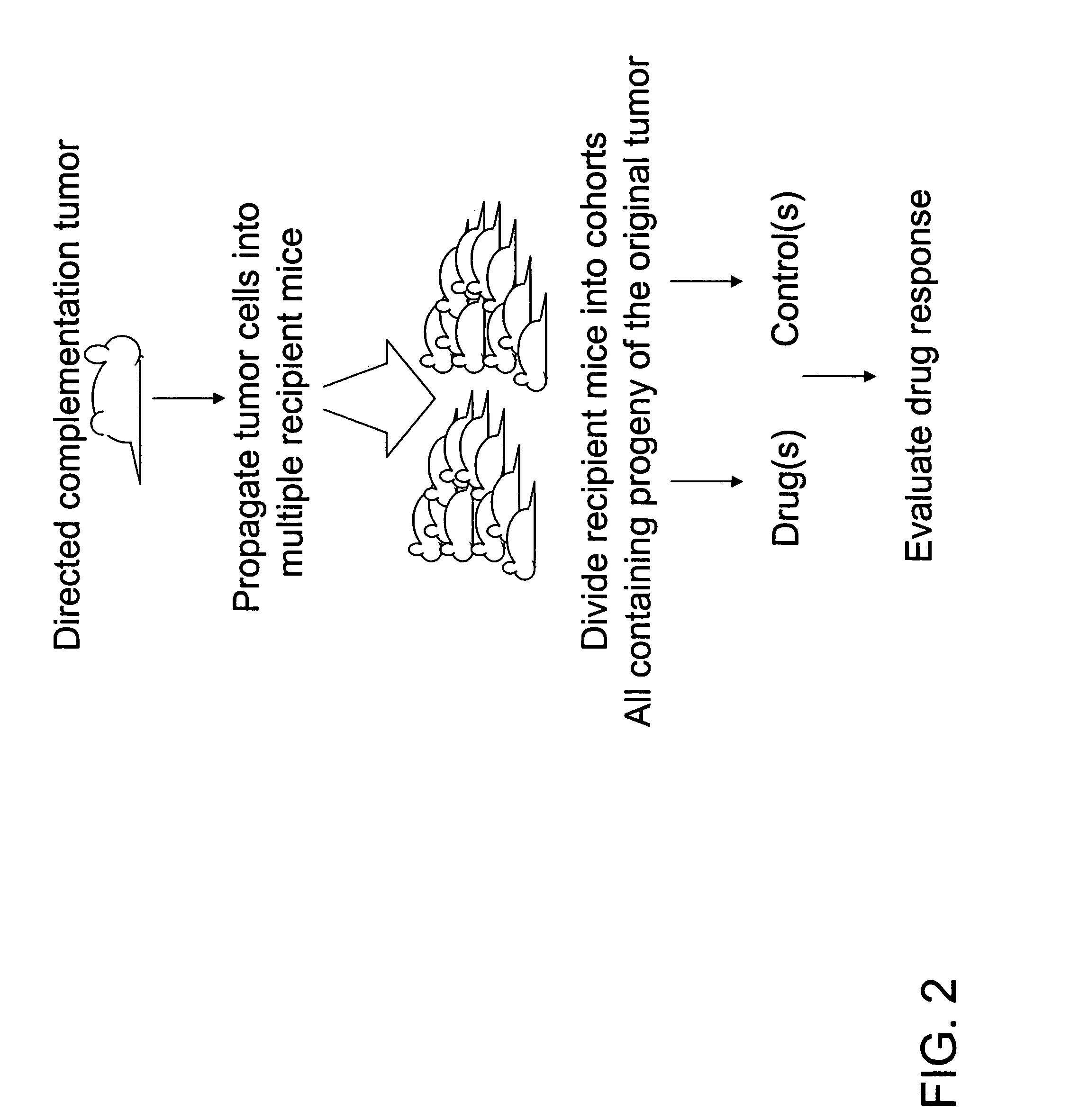 Directed complementation