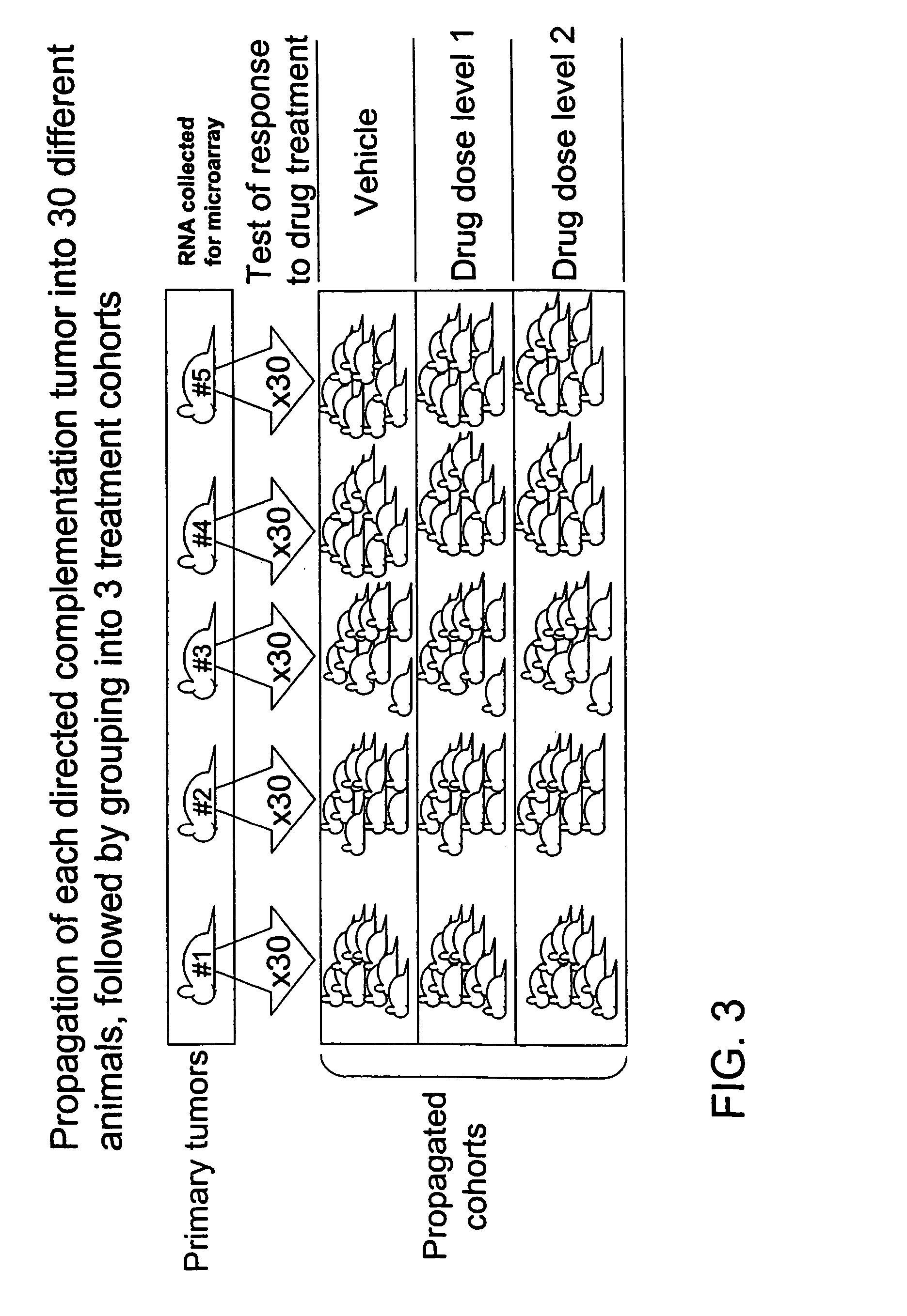 Directed complementation