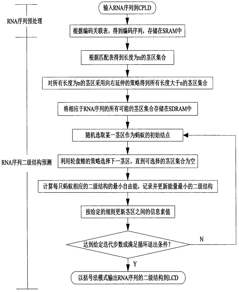 Method for predicting secondary structure of ribonucleic acid (RNA) sequence based on complex programmable logic device (CPLD) base fragment encoding and ant colony algorithm