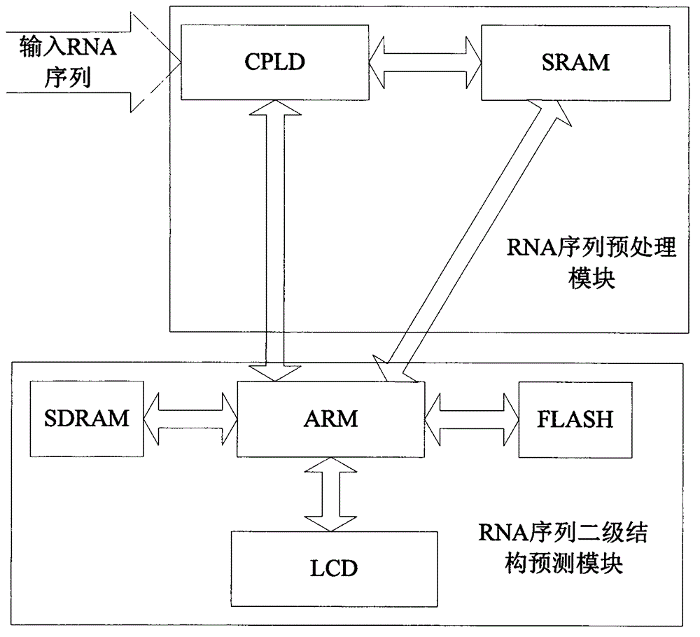 Method for predicting secondary structure of ribonucleic acid (RNA) sequence based on complex programmable logic device (CPLD) base fragment encoding and ant colony algorithm