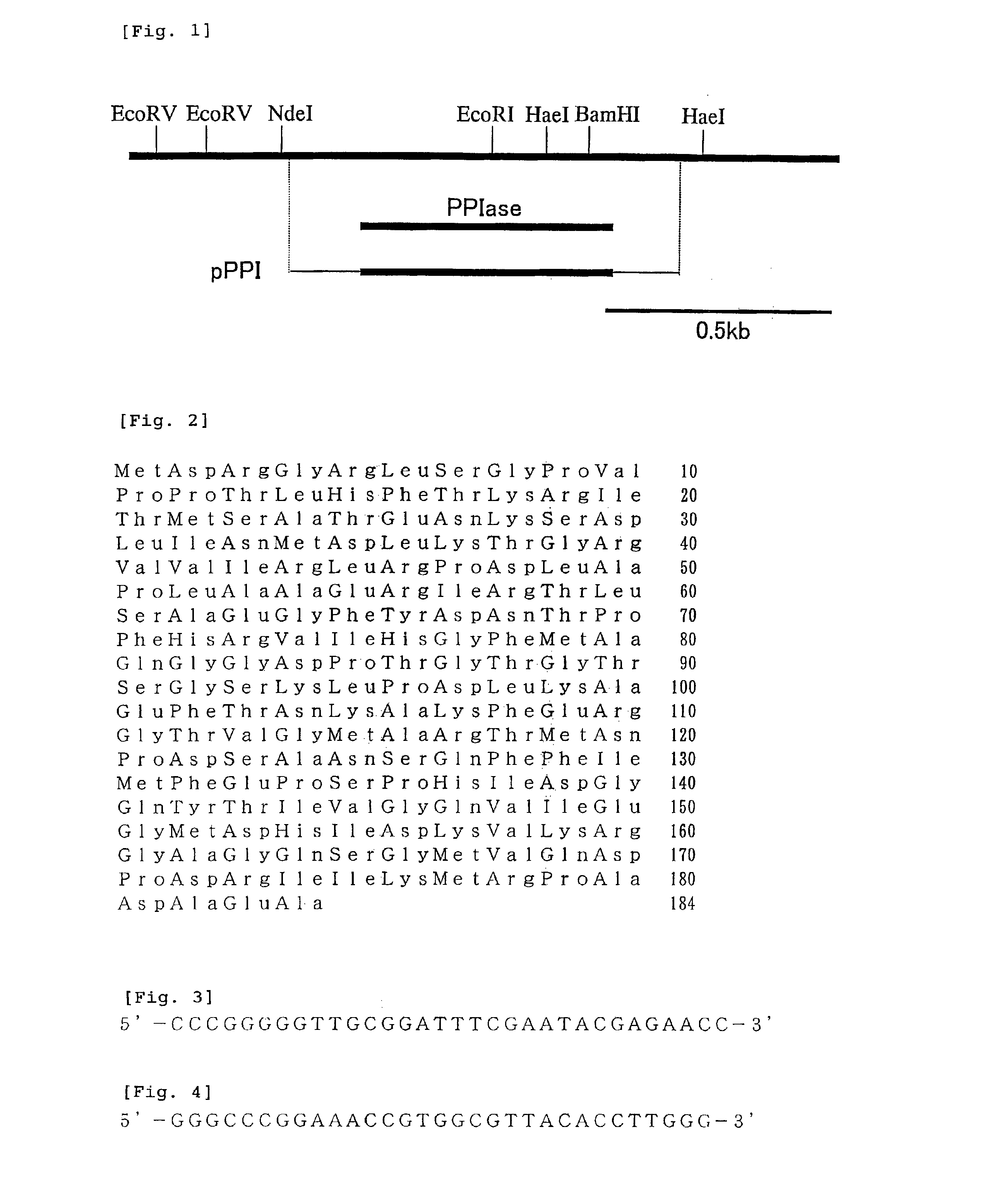 Gene related to growth promoting function of acetic acid bacterium, acetic acid bacterium bred using the gene and method for producing vinegar using the acetic acid bacterium