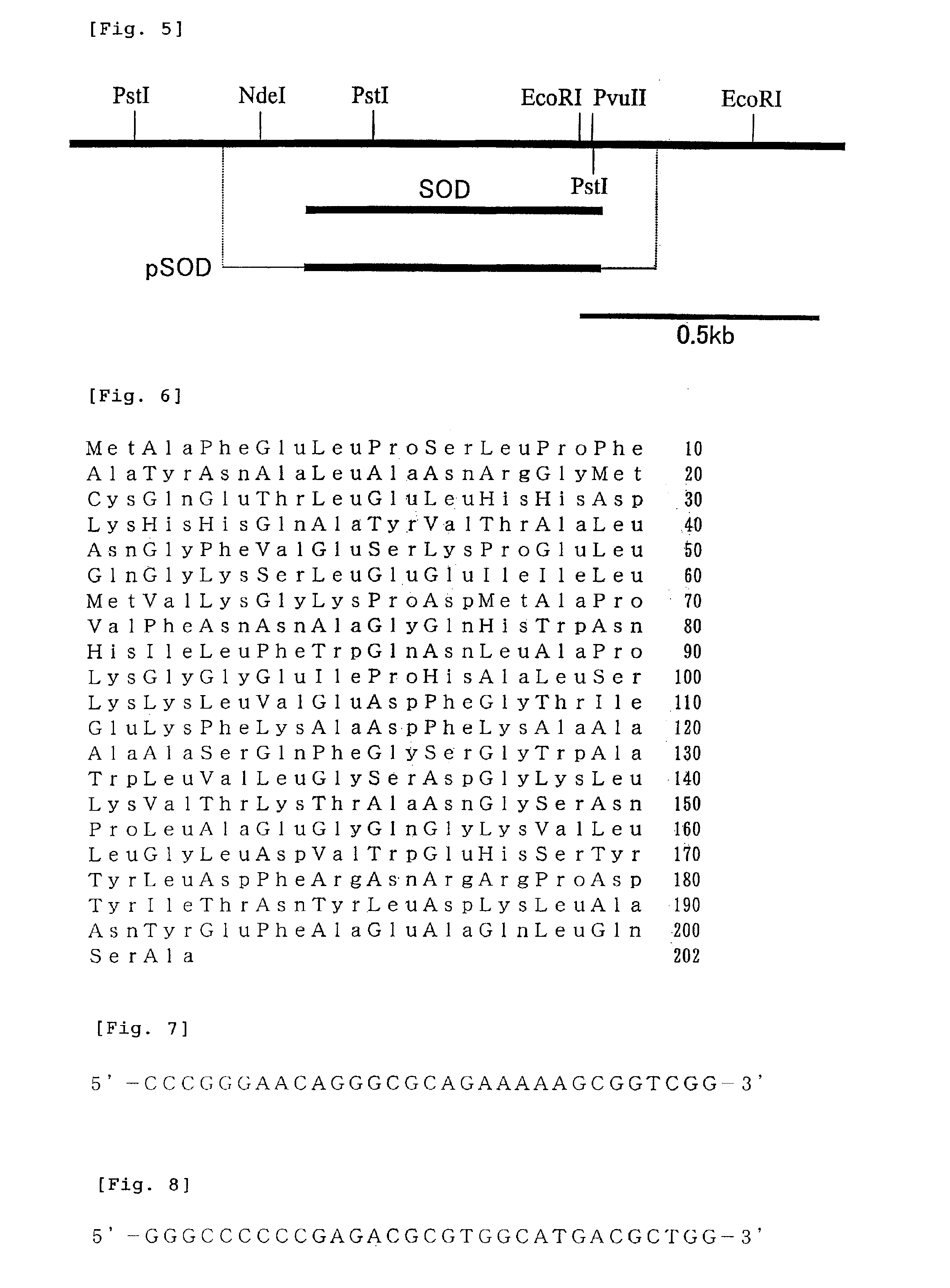 Gene related to growth promoting function of acetic acid bacterium, acetic acid bacterium bred using the gene and method for producing vinegar using the acetic acid bacterium