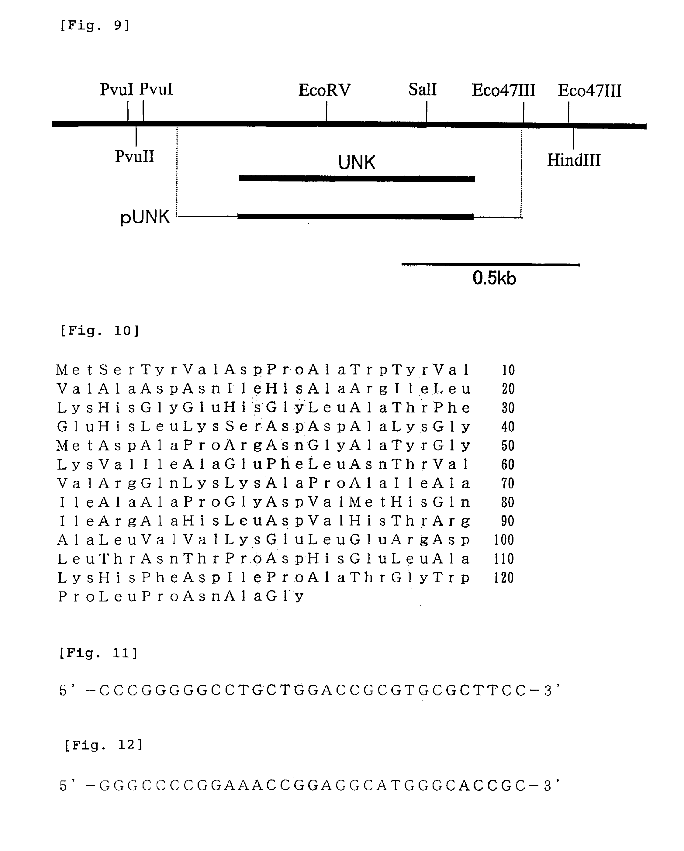 Gene related to growth promoting function of acetic acid bacterium, acetic acid bacterium bred using the gene and method for producing vinegar using the acetic acid bacterium