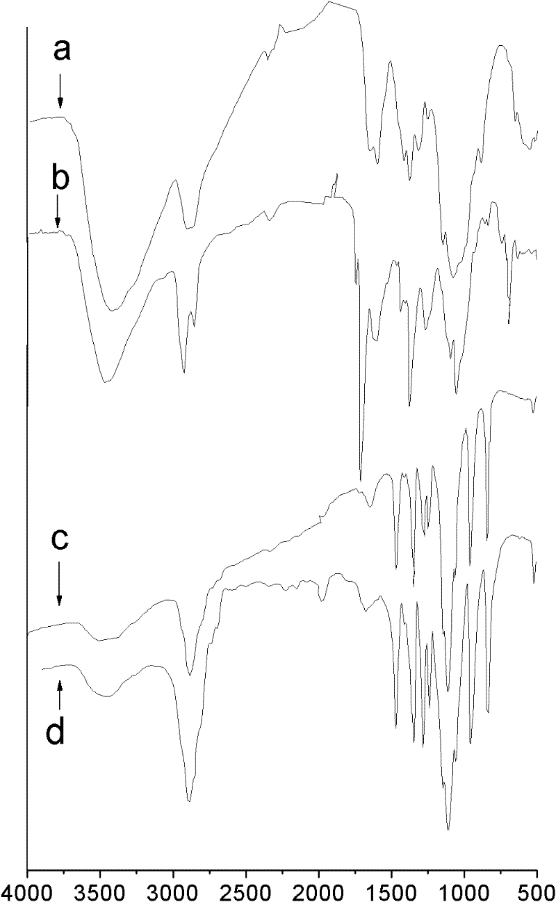 Amphipathic chitosan with chemical crosslinking characteristic and preparation method thereof