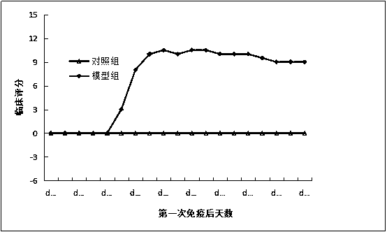 Preparation method, application and evaluation method of collagen-induced arthritis animal model