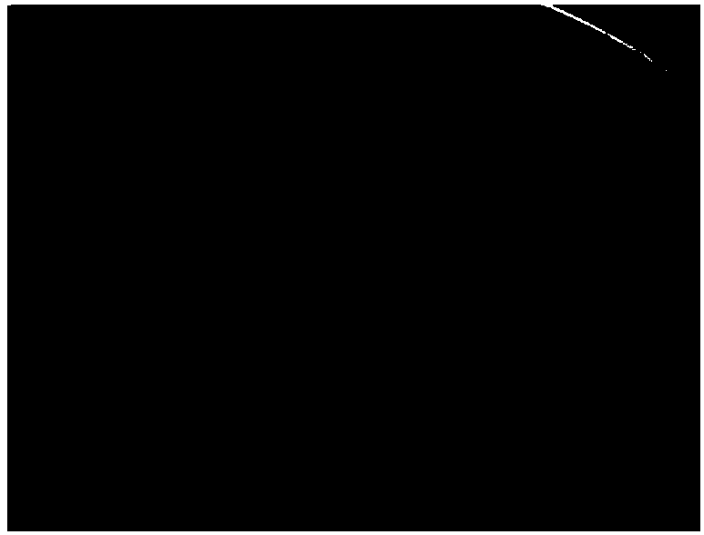 Bacillus safensis for producing protease and resisting botrytis cinerea and application thereof