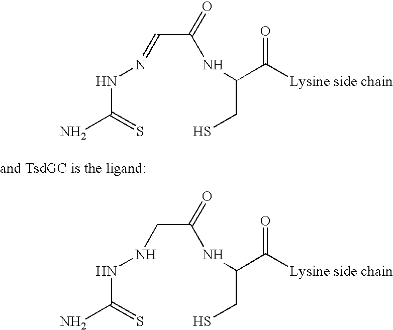 Landscaped antibodies and antibody fragments for clinical use