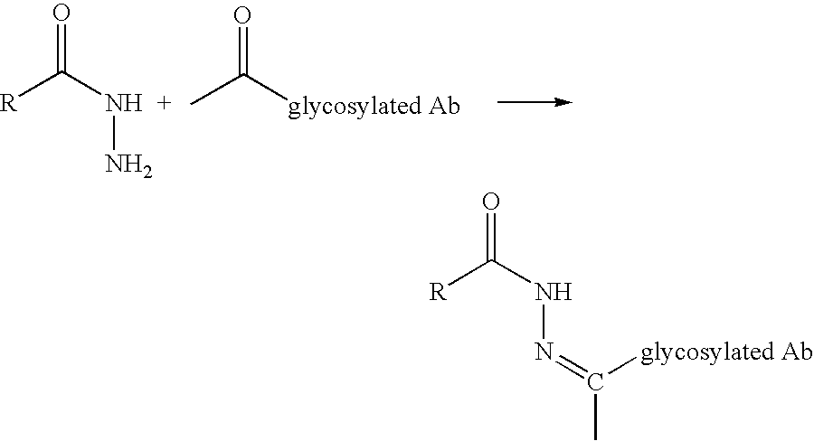 Landscaped antibodies and antibody fragments for clinical use