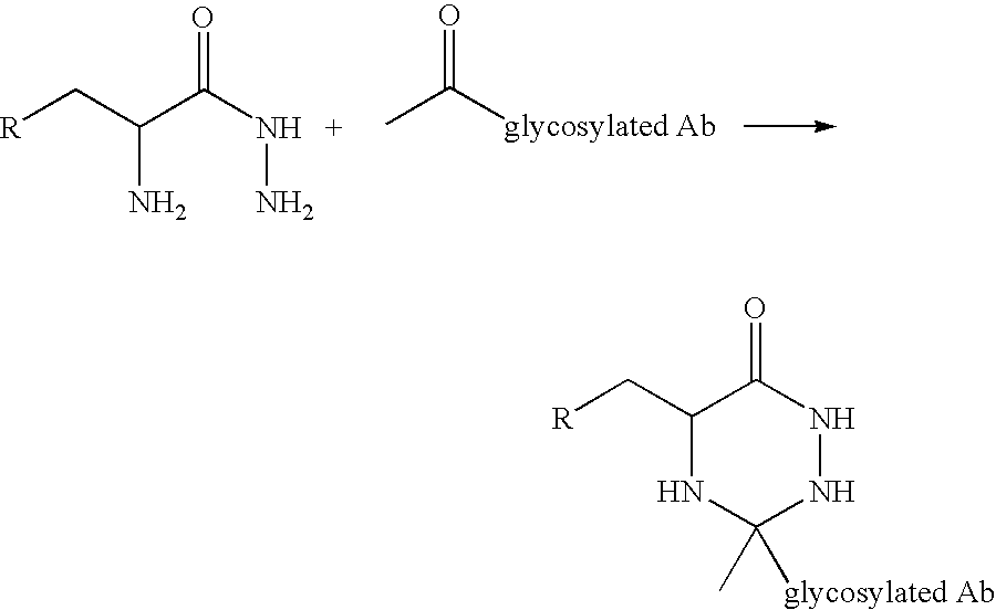 Landscaped antibodies and antibody fragments for clinical use