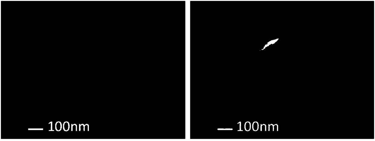 Method for preparation of hollow molybdenum disulfide microspheres in inverse microemulsion