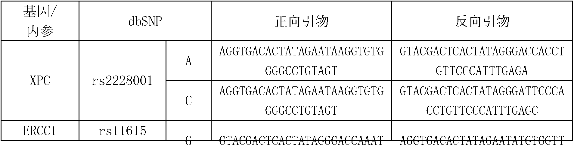 Multi-gene detection kit for guiding administration of platinum drugs and detection method of multi-gene detection kit