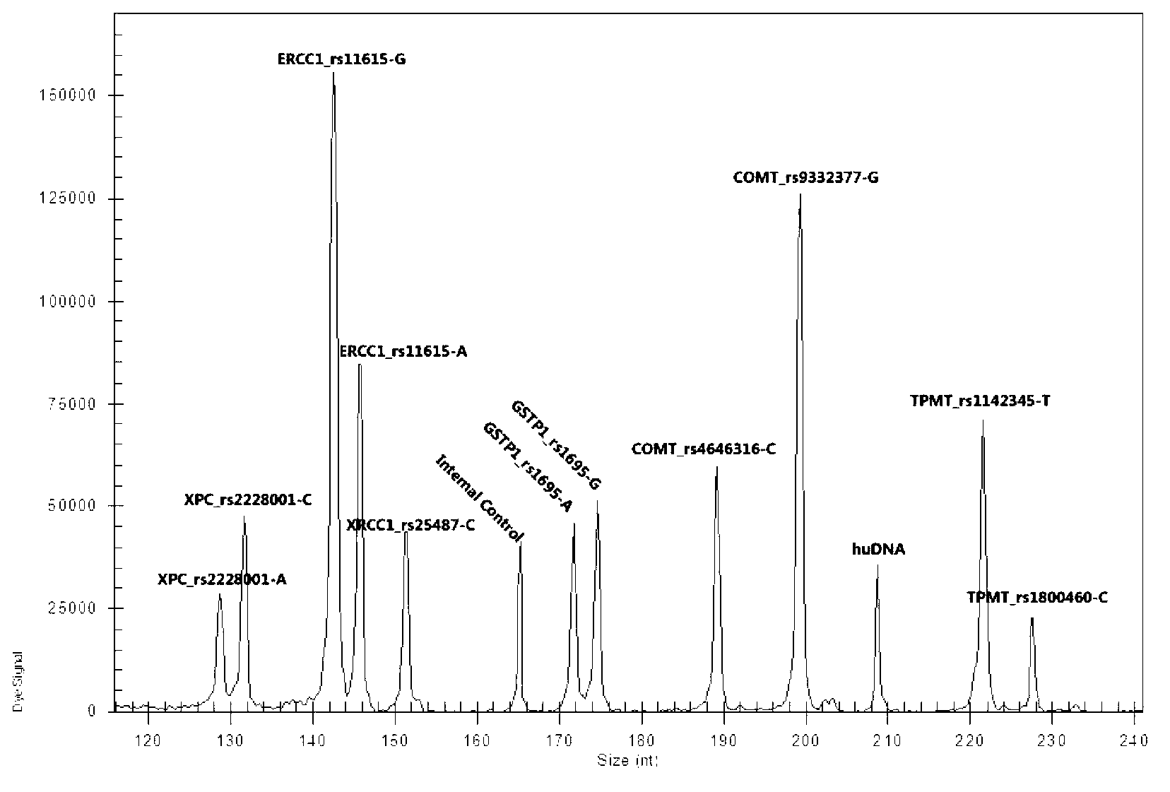 Multi-gene detection kit for guiding administration of platinum drugs and detection method of multi-gene detection kit