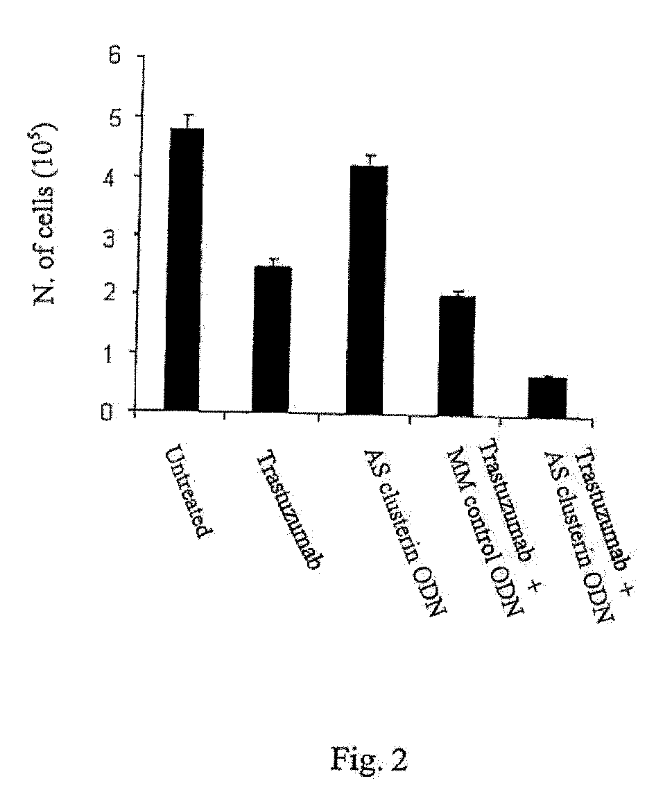 Treatment of cancer with a combination of an agent that perturbs the egf signaling pathway and an oligonucleotide that reduces clusterin levels