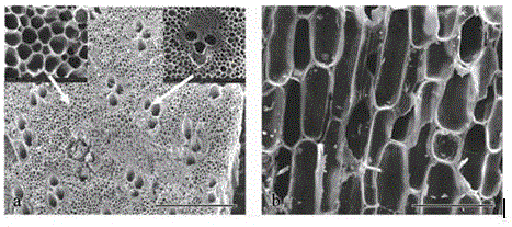 Soil conditioner with bamboo charcoal and method for preparing soil conditioner