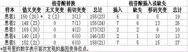 Gene chip for screening various ophthalmological hereditary diseases as well as preparation and usage method of gene chip