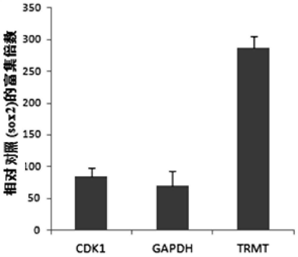 A kit, method and application for detecting the interaction between protein and dna