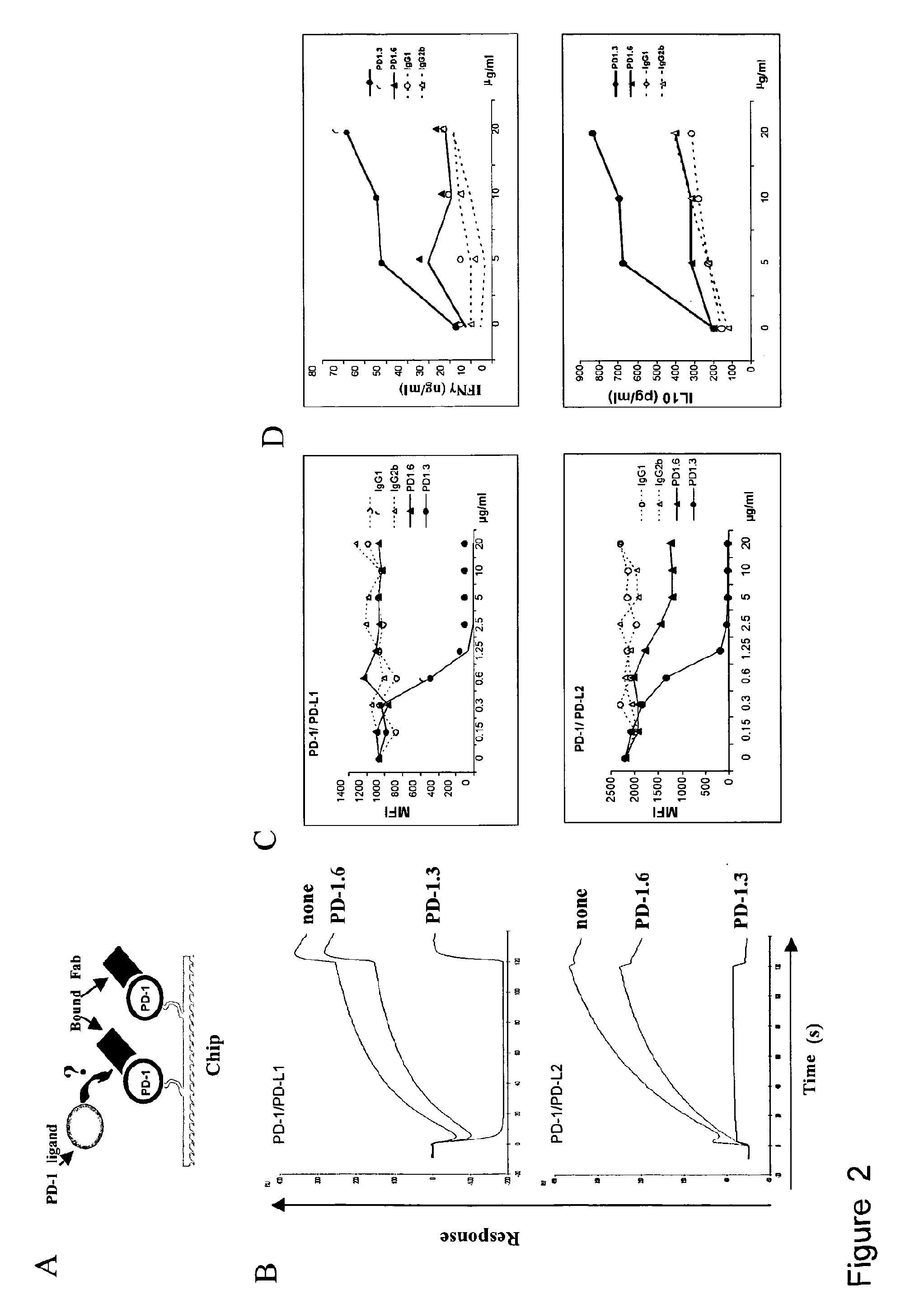 PD-1 antibodies and PD-L1 antibodies and uses thereof