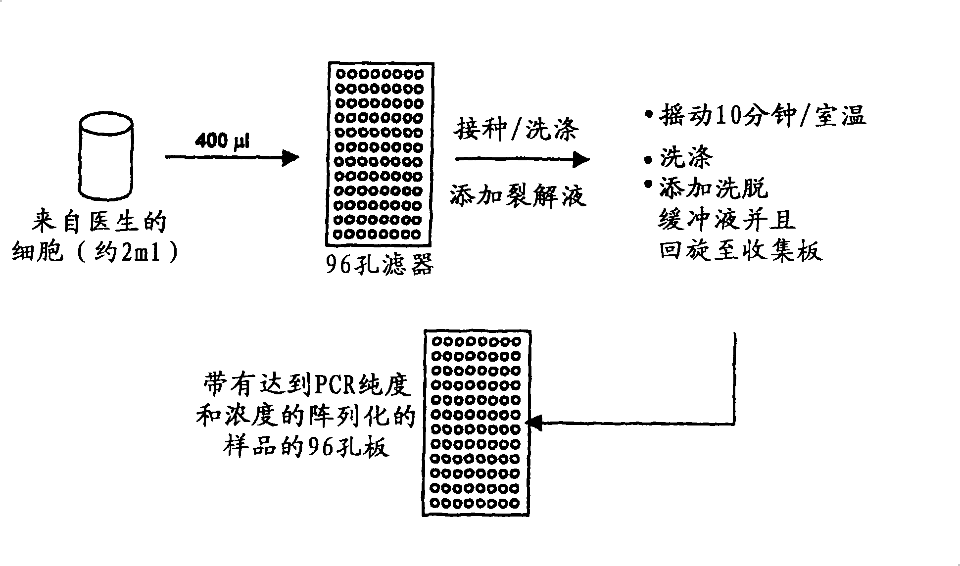 Human papilloma virus (HPV) detection using nucleic acid probes, microbeads and fluorescent-activated cell sorter (FACS)