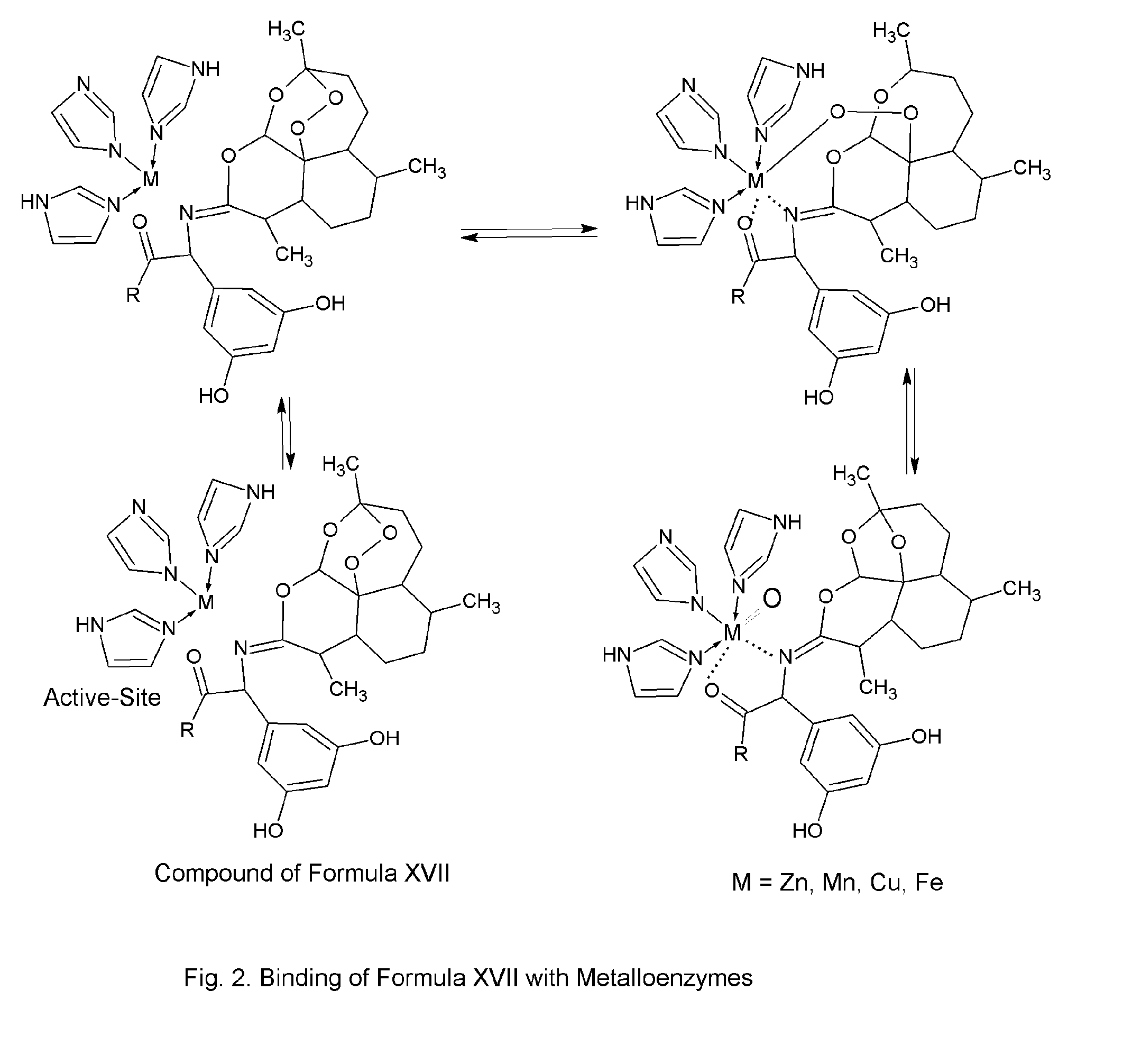 Artemisinin derivatives with natural amino acids, peptides, and amino sugars for the treatment of infection and topical condition in mammals